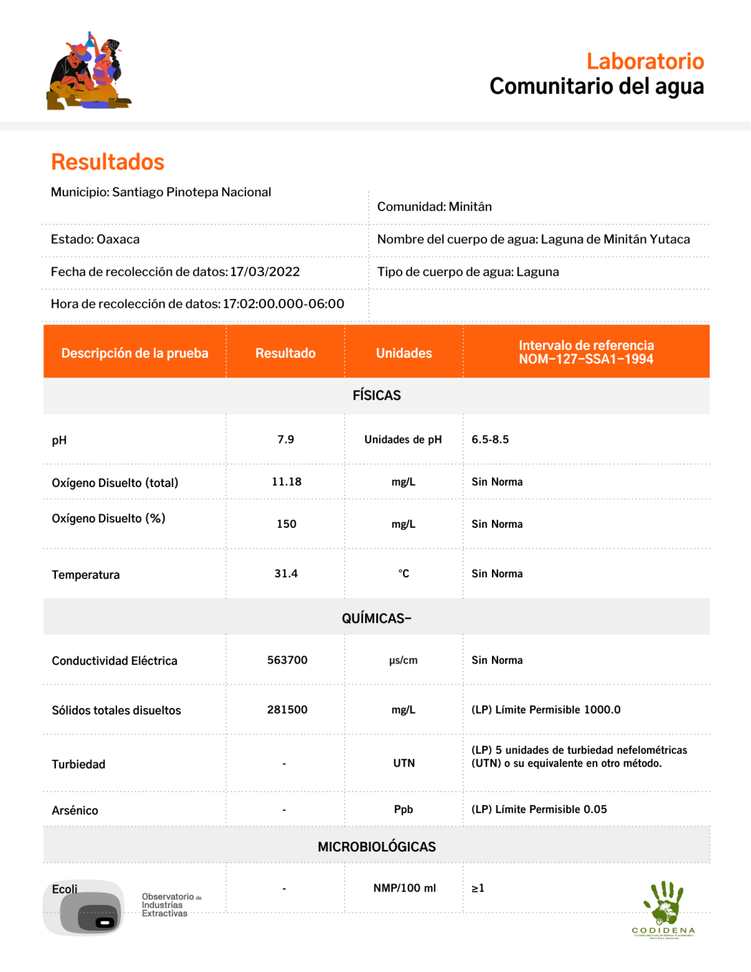 Muestre 6